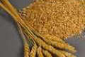 Teljes kiőrlésű gabona magvak (búzacsíra, korpa)